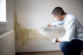 Best Residential Mold Inspection & Testing  in Pinewood Estates, TX